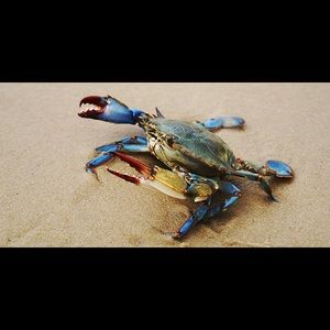 Meet your Posher, Christopher